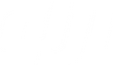 DJI